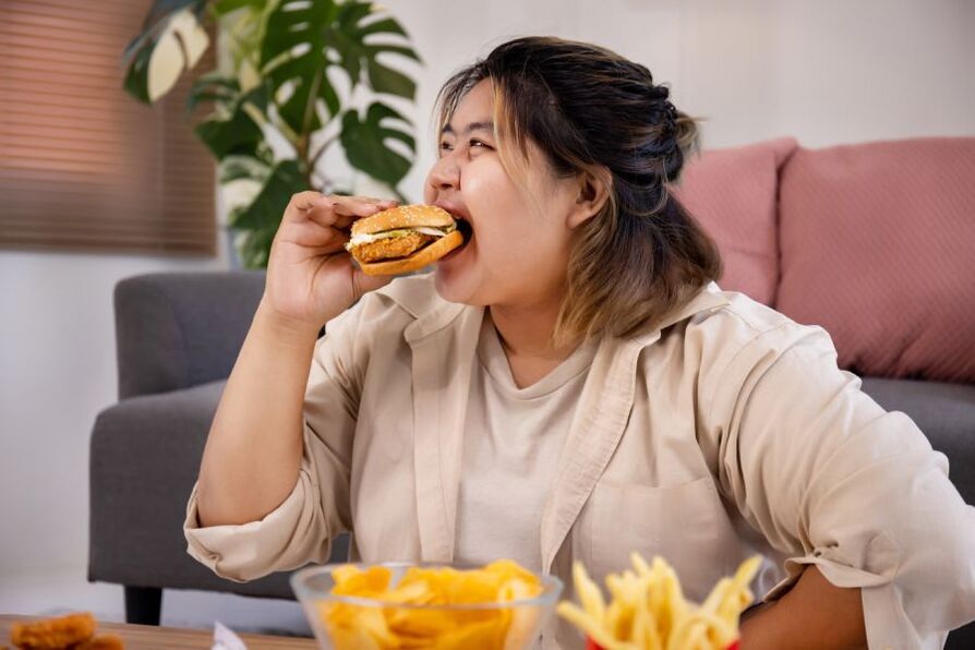 Junkfood leidt tot overgewicht